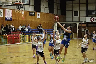 ΝΕΑΝΙΔΕΣ: ΑΕ Δικαίου- Φοίβος 72-53