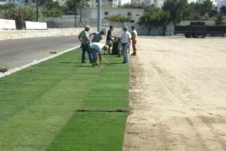 Το όνειρο υλοποιείται (video)