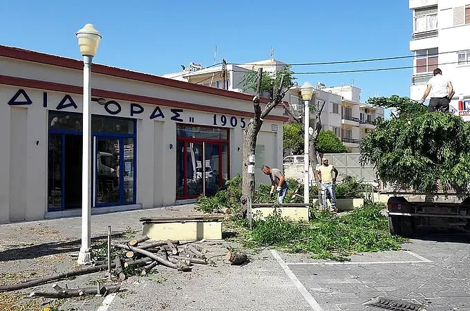 Ο Γ.Σ. Διαγόρας ευχαριστεί