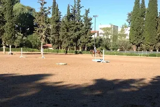 Αγώνας αντοχής στην ιππασία