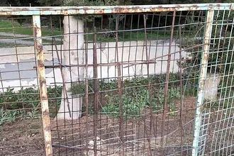 Γήπεδο Φανών, ώρα μηδέν!