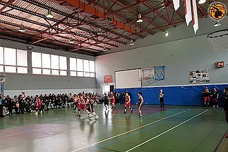 ΠΑΜΠΑΙΔΕΣ: Ακαδημία- Ιπποκράτης 52-49