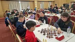 Δεν θα γίνει το σκακιστικό camp του Ιππότη!