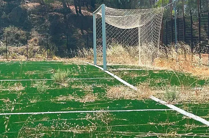 Καθαρισμός και συντήρηση στο γήπεδο των Λαέρμων!